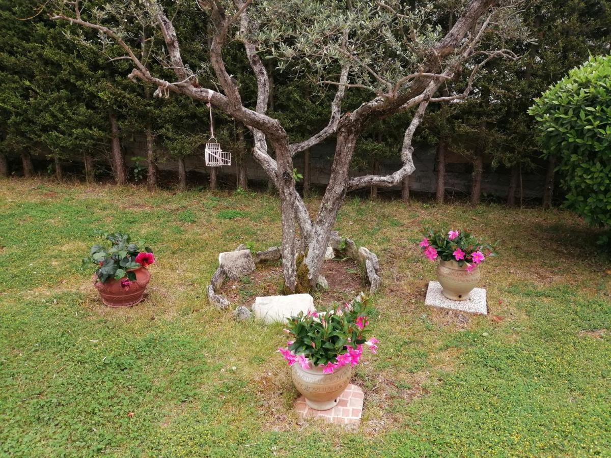B&B Villa Milena Ariano Irpino Extérieur photo