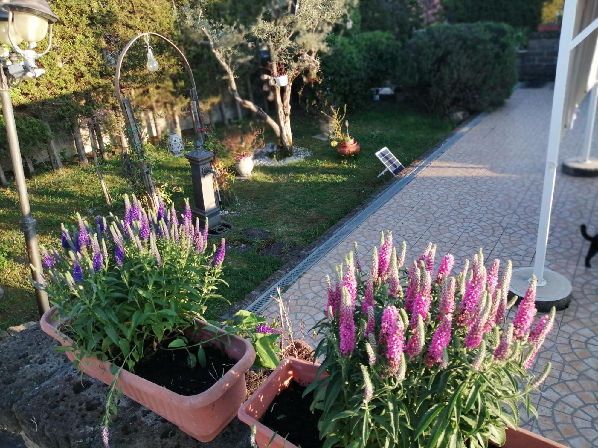 B&B Villa Milena Ariano Irpino Extérieur photo